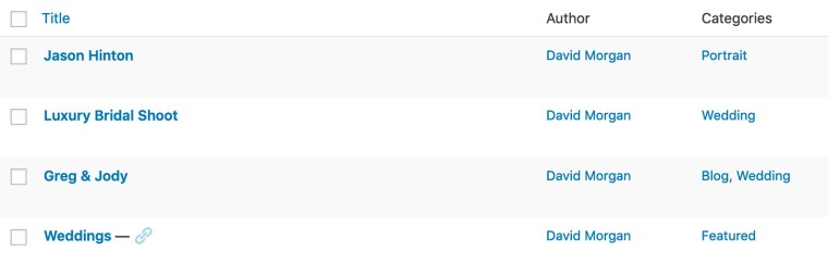 WordPress Posts