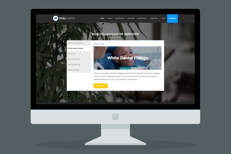 vital-theme-services